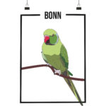 Halsbandsittich - Poster Din A3 (hoch)